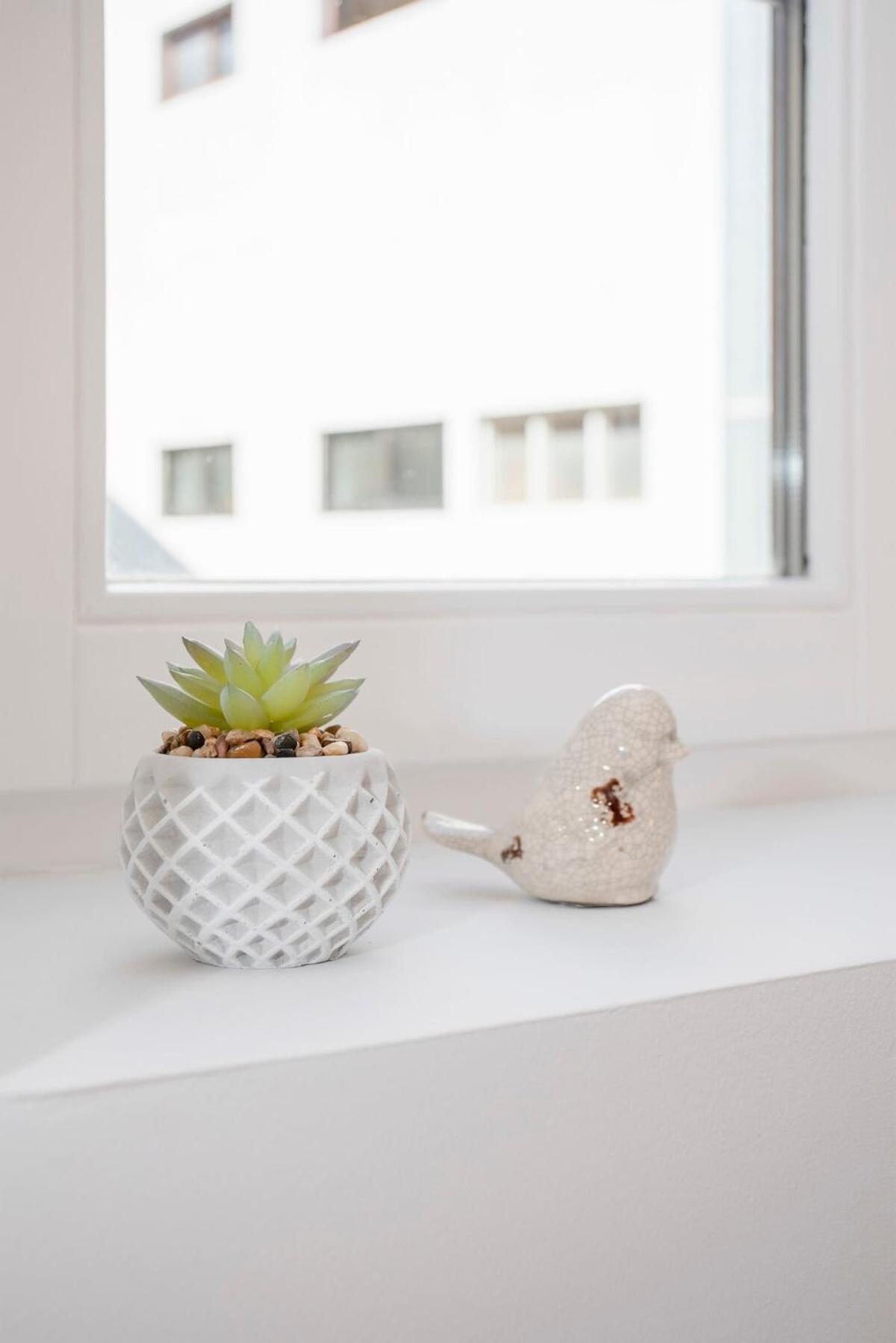 Apartamento Liiiving In - Alma De Santa Catarina *